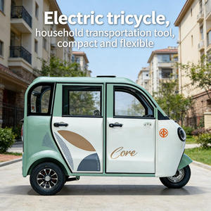 Triciclo Eléctrico Solar para Adultos, Scooter de Movilidad BAIMA de 3 Pasajeros, Batería de Plomo-Ácido, Motor de 650W, Vehículo Cerrado de Nueva Energía - Product Image 2