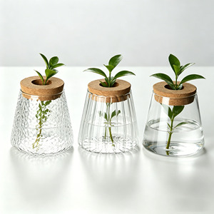 Terrarium en verre Art Déco vibrant et énergique pour bureau, vente en gros, petits vases en verre transparents pour plantes hydroponiques avec couvercle en liège pour la maison - Product Image 2