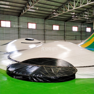 Thiết Kế Ban Đầu Công Viên Giải Trí Inflatable Panda Nhảy Gối Nảy Mây - Product Image 3