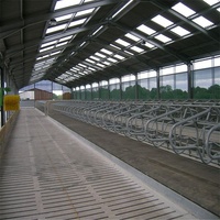 Étable à vaches préfabriquée de haute qualité avec structure en acier et ventilation du toit
