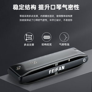 Armónica Blues Feifan de 10 Orificios, Armónica Diatónica Profesional para Principiantes, Instrumento Musical de Práctica - Product Image 4