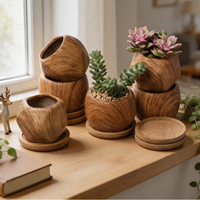 Pots de plantes succulentes pour la décoration intérieure Jardinières créatives Intérieur Extérieur Conteneurs de fleurs Boutique Vitrine Affichage Ornements