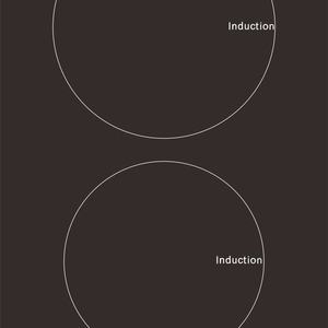 Estufas Verticales de Inducción de Dos Quemadores con Control Táctil - Product Image 2