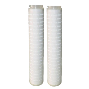 <span class=keywords><strong>Membrana</strong></span> PES Hidrofílica Avanzada de 0.1 Um en Filtros Plegados de 20 Pulgadas que Garantiza una Humedeción Rápida y Caudales Consistentes - Product Image 1