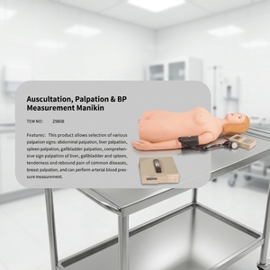 Maniquí Simulador Multifuncional para Auscultación, Palpación y Medición de Presión Arterial, para Enfermería, Ciencias Médicas - Product Image 4