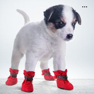 छोटे कुत्ते के जूते इनडोर विरोधी पर्ची पतली पिल्ला पैर कवर पालतू कुत्ते पनरोक - Product Image 2