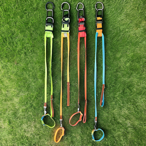 Set Kalung dan Tali Anjing Modern Mewah untuk Anjing Kecil dan Sedang, Aksesori Pelatihan Hewan Peliharaan, Ringan, Bahan Poliester, Tahan Lama, dan Menarik Perhatian - Product Image 1
