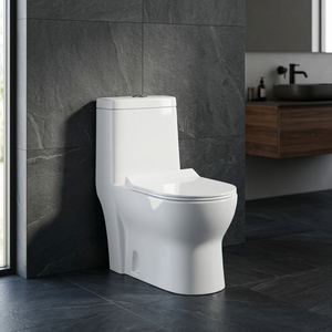 WC monobloc en céramique au design moderne, très demandé, pour hôtels – Sanitaires - Product Image 3