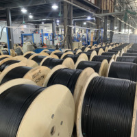 Kabel Serat Optik Mode Tunggal GYFTY53 4-72 Core Non-Metalik Bawah Tanah Berlapis Baja untuk Luar Ruangan dengan Kawat Baja