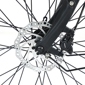 Vélo Électrique 48V 350W avec Cadre Courbé et Guidon Papillon, Design Populaire pour Adultes, Vente Directe en Gros de Chine - Product Image 3