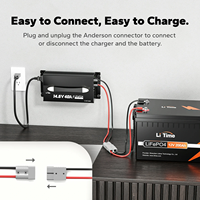 LiTime12V (14.6V) 40A chargeur de batterie professionnel montable solaire Lipo Camping Rechargeable plus longue durée de vie 12V chargeur de batterie