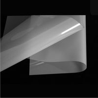 Feuille de film de transfert DTF A4 75 microns, film de transfert thermique PET mat double face pour l'impression textile sur T-shirt (décollement à chaud et à froid)