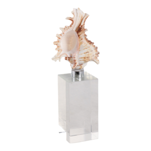Scultura decorativa a forma di conchiglia su base di cristallo per decorazioni per la casa, statuetta per bagno, ufficio, soggiorno. - Product Image 2