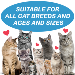 Nutrition pour animaux de compagnie de marque privée Supplément pour taches de larmes de chat Mastics doux Protège les yeux Système immunitaire Supprimer les taches Supplément pour chat - Product Image 5