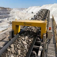 Détecteur de métaux professionnel pour convoyeur à bande, équipement d'inspection pour l'exploitation minière, les pierres, le minerai de fer et les terrains de sable
