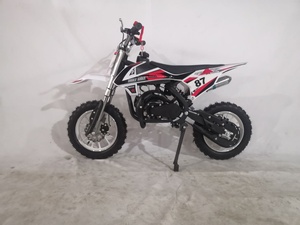 Mini-<span class=keywords><strong>moto</strong></span> à essence pour enfants, moteur à <span class=keywords><strong>2</strong></span> <span class=keywords><strong>temps</strong></span> avec lanceur 49cc, moins cher cher, avec CE, livraison gratuite, <span class=keywords><strong>2021</strong></span> - Product Image 5