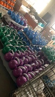 DINUO Kettlebell de compétition réglable en acier massif, poignée antidérapante, design coloré, gamme de poids 4-32 kg pour