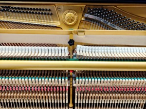 Piano Vertical Yamaha U3H, Importado, Profesional, de Segunda Mano, Tono Sólido, Sensación de Calidad, U3, 88 Teclas, 2841613 - Product Image 5