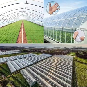 Serre agricole à structure PE à portée unique, prix <span class=keywords><strong>direct</strong></span> <span class=keywords><strong>usine</strong></span>, ensemble complet avec film - Product Image 5