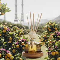 Diffuseur d'huiles essentielles liquides naturelles pour la maison, sans flamme, aromathérapie, parfum d'ambiance, logo personnalisé