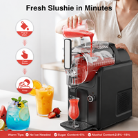 Machine à granita professionnelle à usage domestique, 1 réservoir, pour glace carbonatée et granita, moins chère