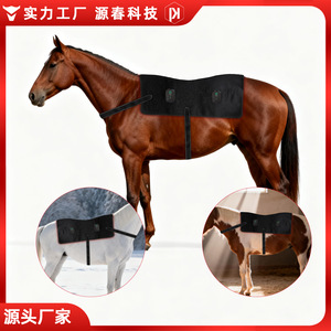 Yuan Chun Red <b>Light</b> Therapy Device 1110*980 For Horses Muscle Relaxation Healing - Product Image 4