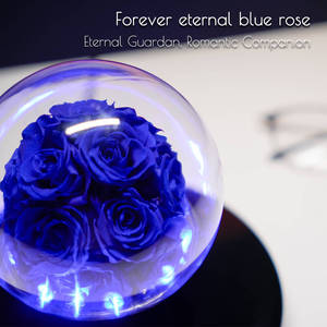 Rosa Eterna Flotante Magnética con Iluminación LED, Decoración Personalizada, Levitación Magnética, Infinita, Estabilizada - Product Image 2