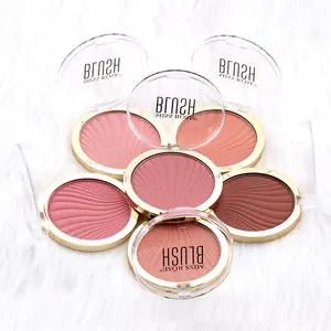 MISS ROSE 12 colori Natural Long Lasting Matte Blush Brighten Makeup fard Rouge Powder Waterproof Natural Face Beauty Makeup