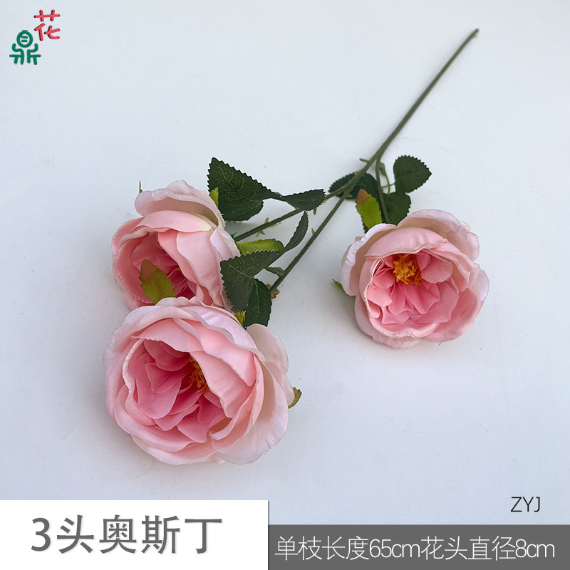 3 Austin ZYJ Pink