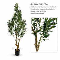 Olivo Artificial Mediterráneo de 1.8m con Tronco Retorcido y Esculpido, Frutos Negros, Planta de Seda Ecológica y Duradera para Hotel o Boutique