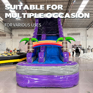Toboggan aquatique <span class=keywords><strong>gonflable</strong></span> commercial en PVC effet marbre de 18 pieds, double piste avec piscine, idéal pour événements et locations de 20 pieds, pour enfants et adultes - Product Image 3