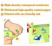 Stylo de lecture parlant rechargeable Little Squirrel, 55 cartes flash double face, jouet éducatif interactif pour les tout-petits