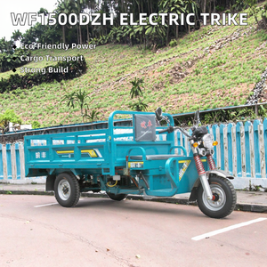 Tricycle électrique à benne basculante à carrosserie ouverte WF3000DZH, 2,2 m, vitesse variable, 3 roues, cargo, 3000 W, charge utile de plus de 400 kg, autonomie de 70 à 90 km, certifié CE 1 - Product Image 4