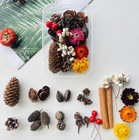 Kit de fleurs séchées DIY pour Noël, cône de pin naturel, bâton de cannelle, tranche d'orange séchée, fournitures artisanales botaniques