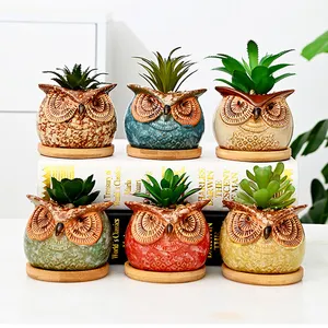 Huis Tuin Ornamenten Mini Potplanten Creatieve Dier Vorm Aardewerk Planter Multi Color Keramische Schattige Uil Bloempot