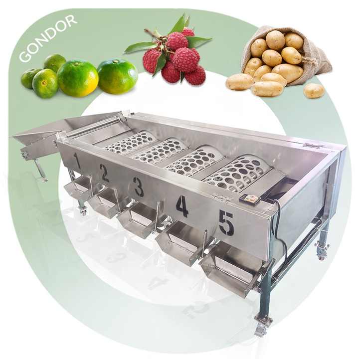 Dragon Fruit Date Orange Avocado Tomato Sweet Potato Cleaning