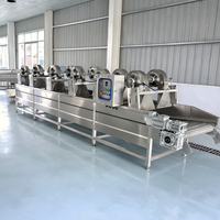 Automatische industriële fruit- en groentewaslijn voor appel, aardappel, tomaat, roestvrij staal 304, hoge efficiëntie