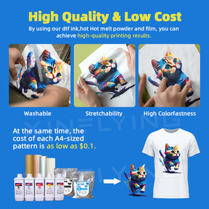 Hochwertiger 5-Kopf-DTF-Drucker I3200 Hoson 24-Zoll-Automatik-T-Shirt-Drucker DTF-Maschine mit Pulvers chüttler - Product Image 4