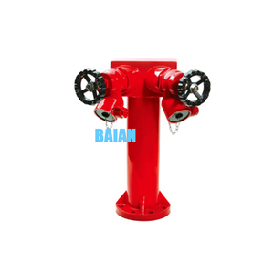 <span class=keywords><strong>Bs750</strong></span> 2 cách trụ cột vòi cứu hỏa với 2.5 ''hạ cánh van - Product Image 6
