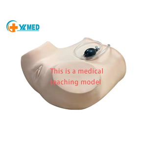Modello avanzato di formazione per diagnosi interna ginecologica modello di esame femminile palpazione uterina ed esame visivo - Product Image 1