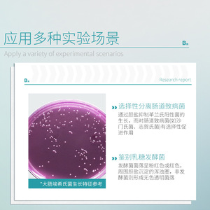 Milieu de culture MacConkey BKMAMLAB 200g, qualité analytique, pour usage en laboratoire - Product Image 3