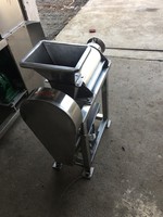Professionele Gember Apple Juicer Fruit Sinaasappelsap Machine Sap Extractor Ananas Sap Maken Machine