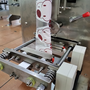 Nhà Máy Phổ Biến Giá Hoàn Toàn Tự Động Arabia Khô Ngày Đóng Gói Máy Cho Túi Nhựa - Product Image 4