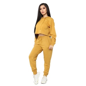 2020 hiver Hip Hop recadrée pull couleur Pure nombril deux pièces ensemble à capuche femmes Sport survêtement costumes pour femmes - Product Image 1
