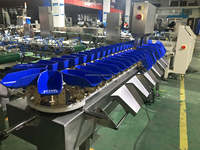 PLC-gestuurde garnalensorteermachine voor vis en fruit, gewichtssortering, 1 jaar garantie, 240 kg getest & gecertificeerd