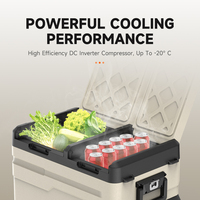 Réfrigérateur de voiture TGS45 Alpicool, compresseur AC/DC, réfrigérateur électrique portable, congélateur pour la maison, le camping en plein air, OEM/ODM