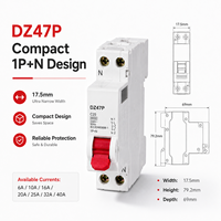 Interruptor Automático en Miniatura DZ47P MCB 1P+N 6A 10A 16A 20A 25A 32A 40A 230V AC 4.5kA Curva C D Riel DIN de 35 mm