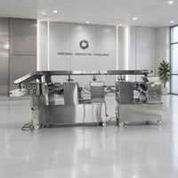 Nouvelle machine automatique EMIN pour la fabrication de feuilles de pâte (maïs/fruits/noix/farine/lait) – Équipement de production et de transformation pour boulangeries commerciales