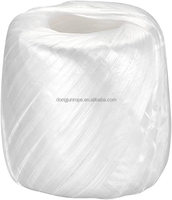 Ficelle de corde en plastique nylon polyester vert 100m pour le ménage pour l'emballage pour le jardinage et l'artisanat en matériau PP