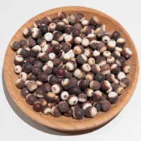 Graines de Gorgon séchées riches en nutriments, Euryale Ferox naturelle, soutien immunitaire pour le thé